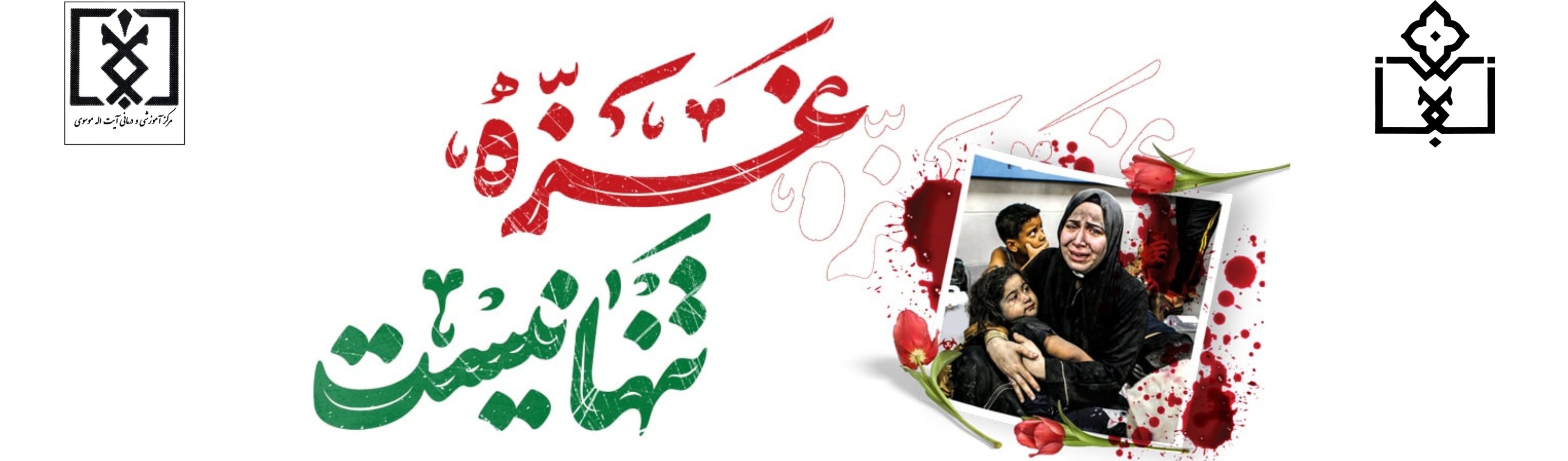عکس 7